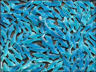 Kunstwerk aus Gummibonbon-Haifischen (Ausschnitt)