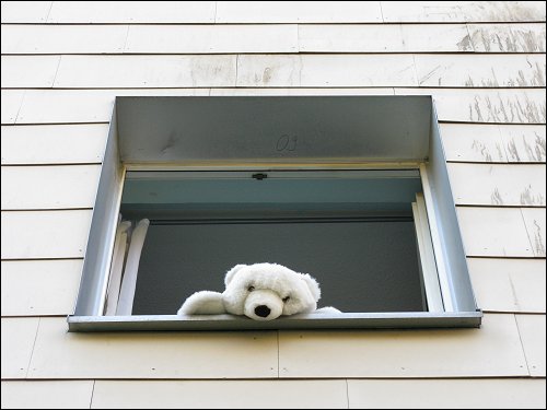 Fürther Fassade mit traurig aus dem Fenster guckendem Plüsch-Eisbär