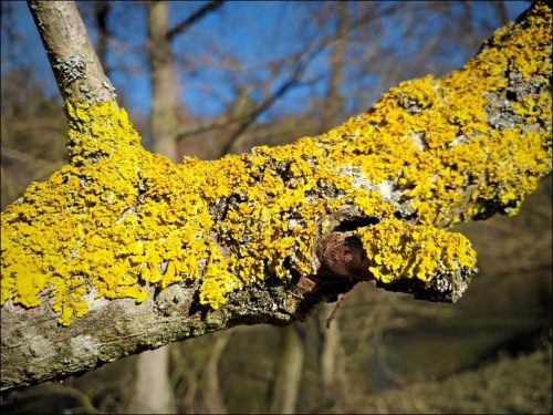 Impressionen aus dem Naturschutzgebiet »Hainberg«