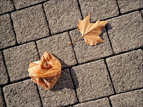 Blatt und Bäckertüte